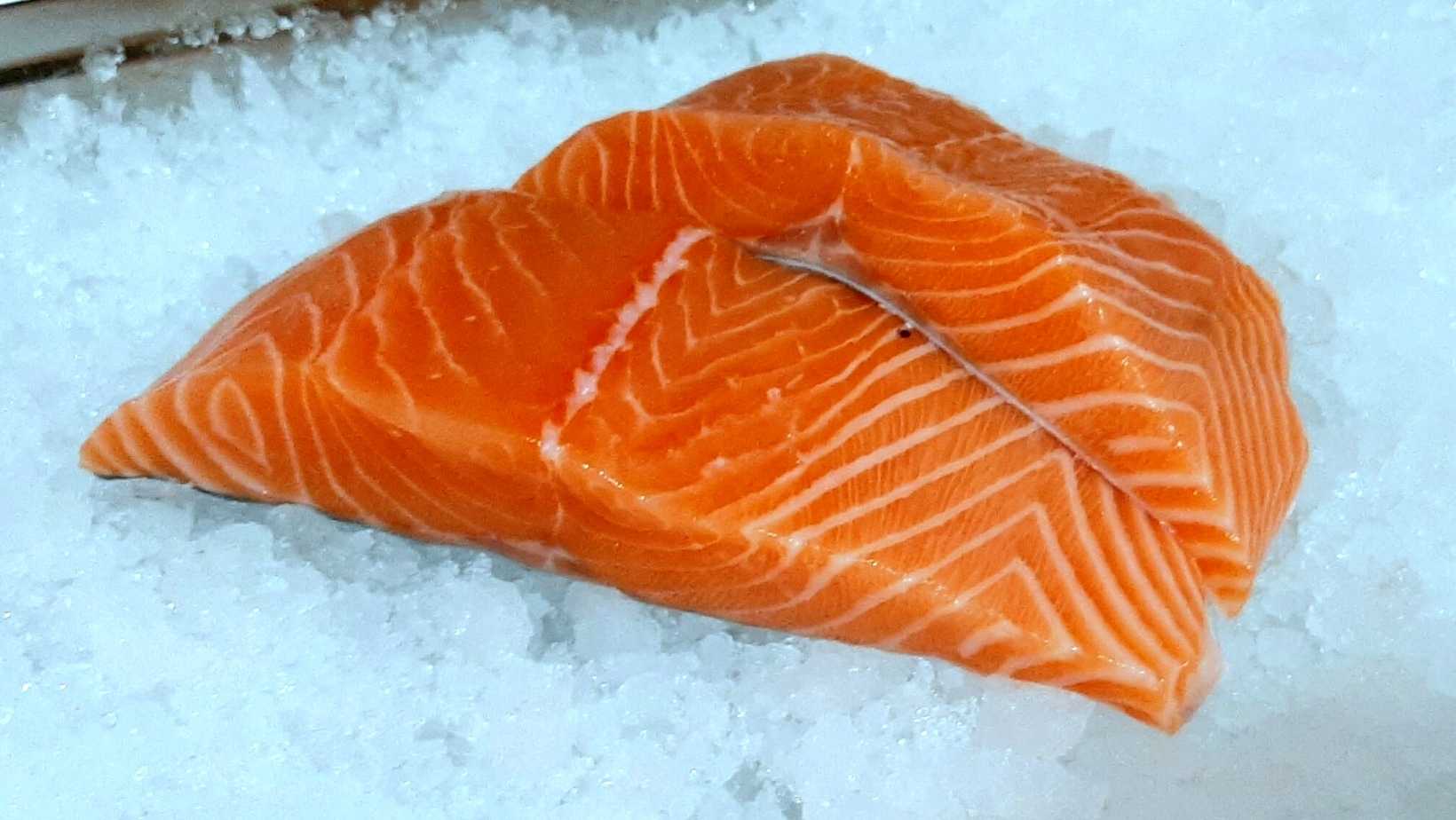 Fresh Scottish Salmon Fillets