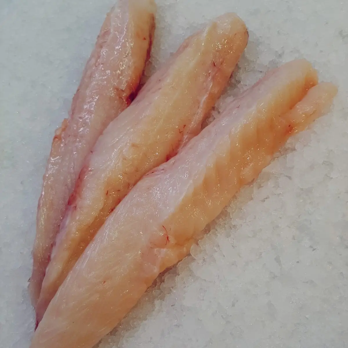 Fresh Monkfish Fillet