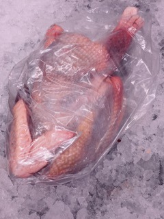 Old Chicken for Boiling (Boiling Fowl)