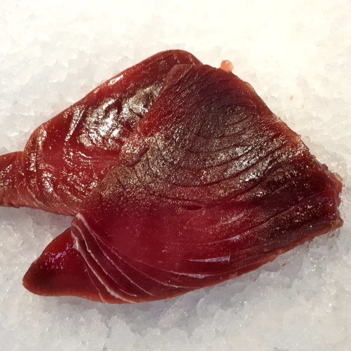 Sushi Grade Fresh Tuna