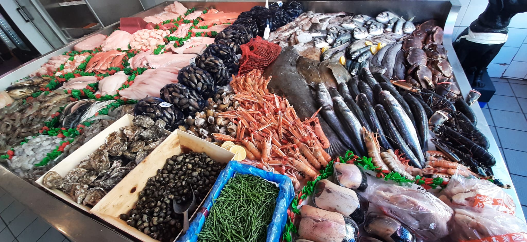Buy Fresh Fish and Seafood Online