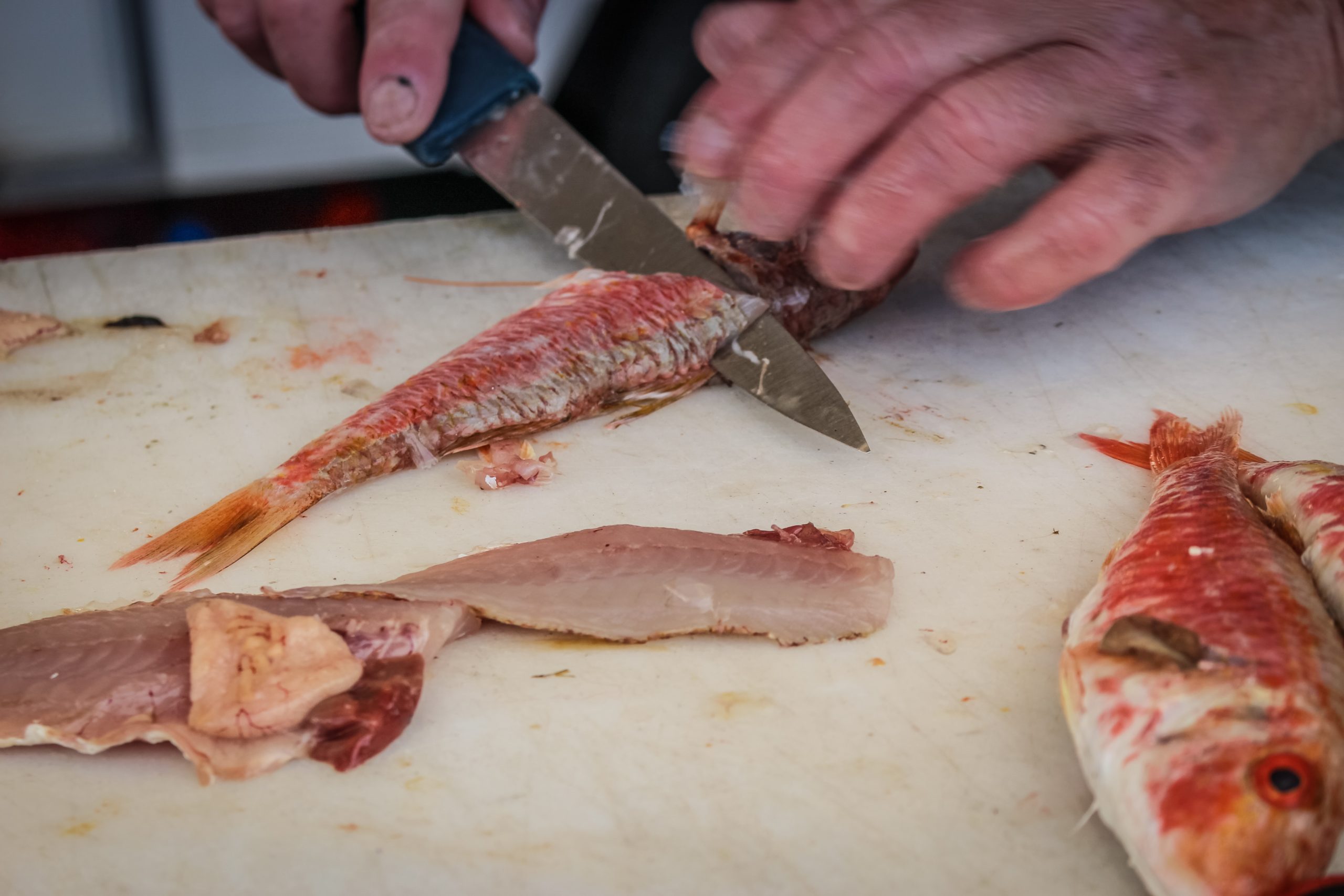 How to Clean and Fillet Fish