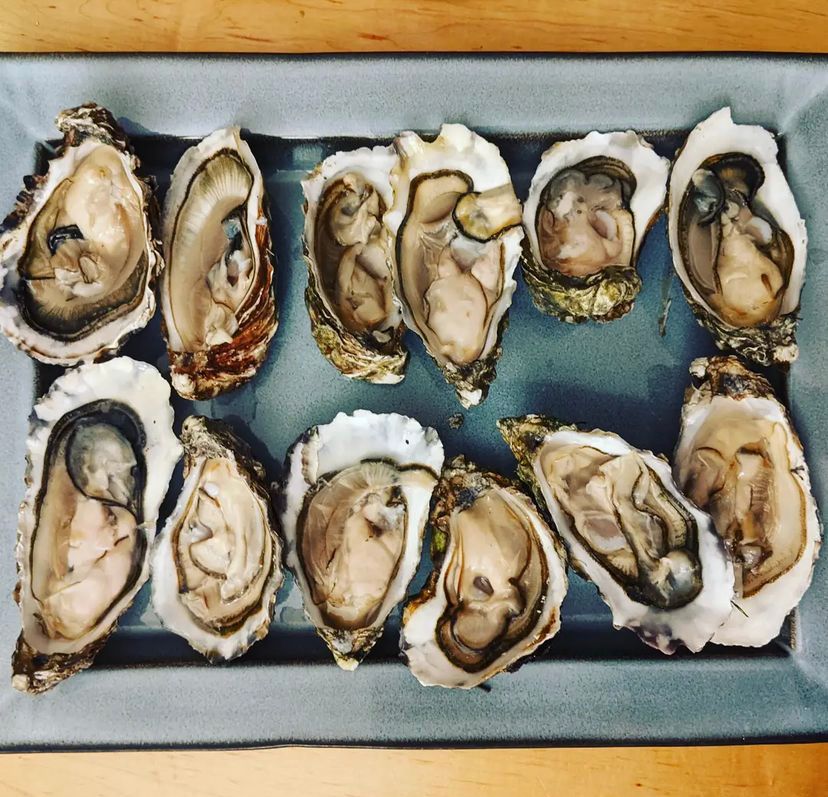 oyster recipe